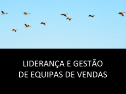 Liderança e gestão de força de vendas