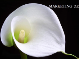 Marketing zen